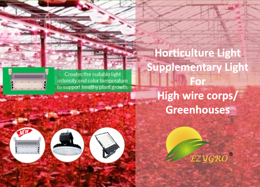 Natural Light Supplemental Series